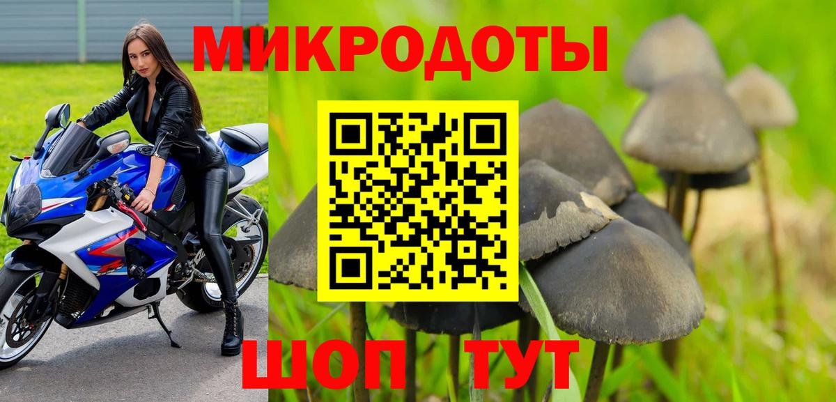Галлюциногенные грибы Psilocybine cubensis  Псилоцибиновые грибы мицелий  Ржев  Вход с VPN 